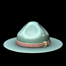 Campaign Hat