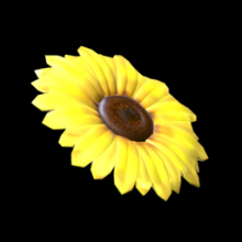 Flower - Sunflower