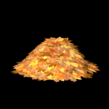 Leaf Litter