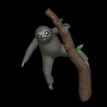 Little Sloth