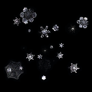 Snowflakes